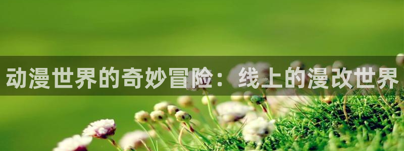 推荐里番动漫：动漫世界的奇妙冒险：线上的漫改世界