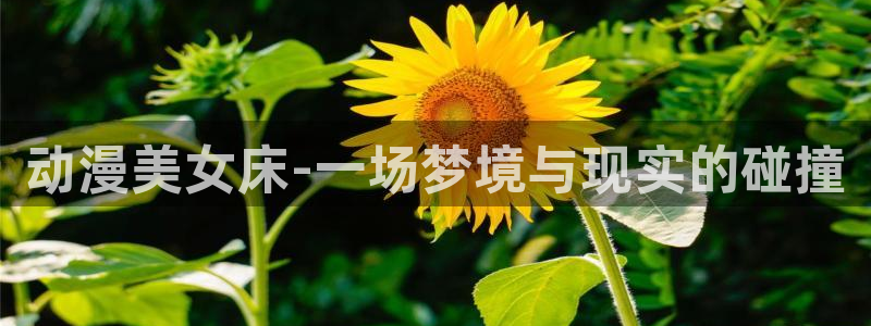 高清里番动漫：动漫美女床-一场梦境与现实的碰撞