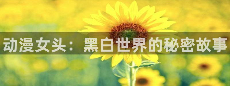 无限穿越里番动漫：动漫女头：黑白世界的秘密故事