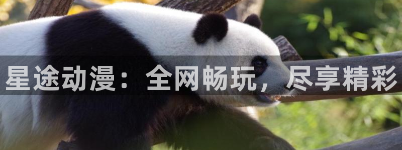 高清里番动漫：星途动漫：全网畅玩，尽享精彩