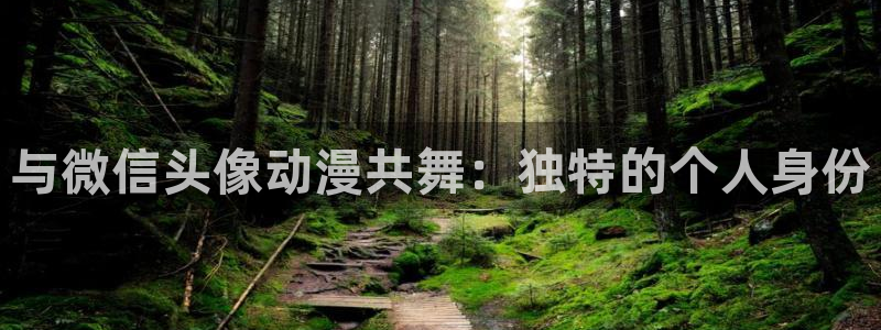 2016里番动漫种子：与微信头像动漫共舞：独特的个人身份